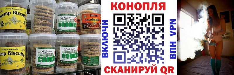как найти закладки  Шахунья  Еда ТГК конопля 