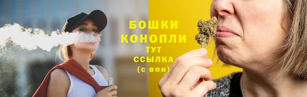 МДПВ Пестово
